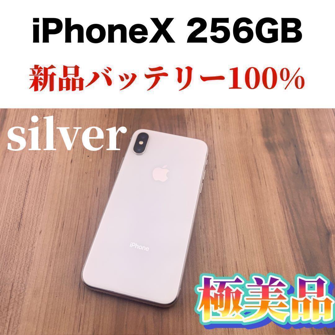 2023年最新】ヤフオク! -iphone 10 本体の中古品・新品・未使用品一覧