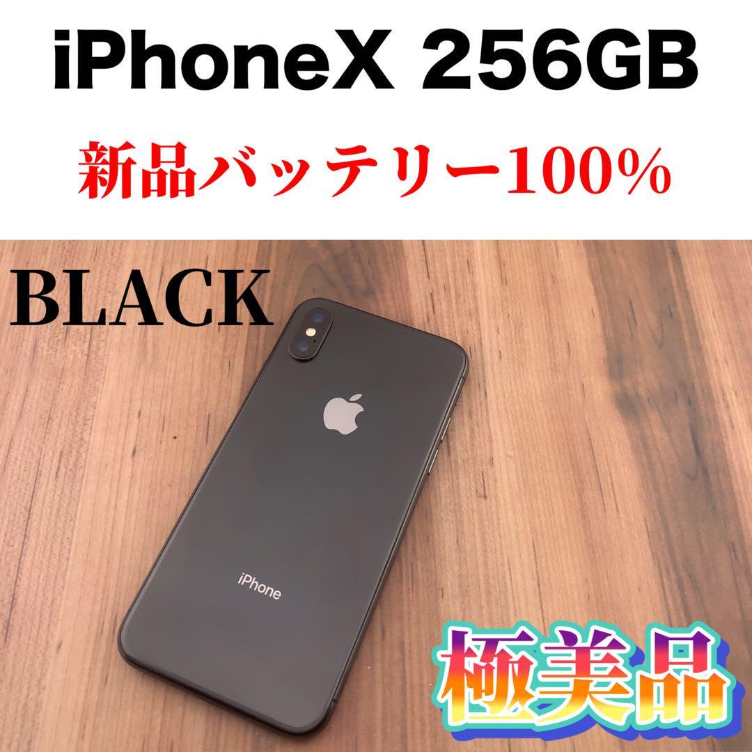 オープニング大セール】 maruko様【品】iPhoneX 256GB | narcissia.co.il