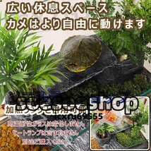 強くお勧め★ 亀 水槽 大きい ガラス ボックス 80x28x27cm カメの水槽 タートルタンク 排水管付き 日向ぼっこ台 爬虫類 両生類 亀観察飼育_画像4