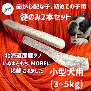 【送料無料】小型犬用　髄のみ　2本セット　歯が心配な子、鹿ツノ初めてな子　北海道産エゾ鹿の角犬のおもちゃ