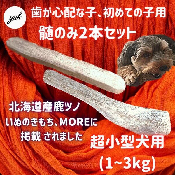 【送料無料】超小型犬用　髄のみ　2本セット　歯が心配な子、鹿ツノ初めてな子　北海道産エゾ鹿の角　犬のおもちゃ