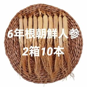 2箱！6年根乾燥朝鮮人参　野生環境黒土露地栽培　高麗人参　箱付き　プレゼント適用