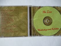 『CD廃盤 劇レア サイケデリック The Lies(ライズ)　/ Underdogs & Infidels US輸入盤 ◆CDケース新品』_画像2