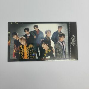 stray kids スキズ skz2020 集合フォトカード