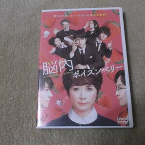 邦画DVD　脳内ポイズンベリー　真木よう子