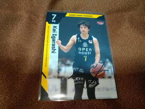 ＜五十嵐圭（群馬クレインサンダーズ）＞BBM B.LEAGUE2022-23 2nd 直筆サインカード 19/50