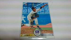 ＜上原健太（明治）＞BBM東京六大学2013 直筆サイン 31/60