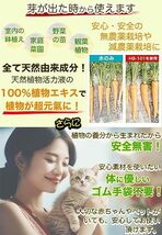 【大幅値下げ】フローラ 植物活力剤 HB-101 即効性 希釈済みスプレー 1L_画像6