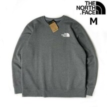 1円～!売切!【正規新品】THE NORTH FACE◆LOGO PULLOVER CREW トレーナー スウェット US限定 ロゴプリント キャンプ(M)グレー 181130-23_画像2