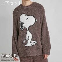 ジェラートピケ　ジェラピケ　PEANUTS スヌーピー　パジャマ　ナイトウエア　メンズ　M 上下セット　新品_画像1