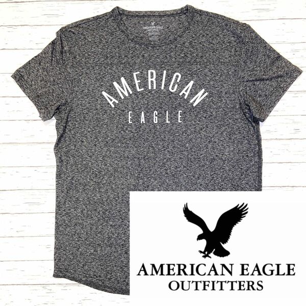 値下げ！【AMERICAN EAGLE 】アメリカンイーグル　伸縮素材　Tシャツ(M)