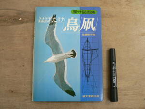 原寸図面集 はばたけ鳥凧 後藤脩平著 1980年 誠文堂新光社