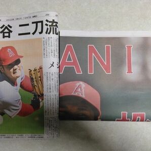 【レア】大谷翔平 岩手日報号外&朝刊 投打で規定数達成