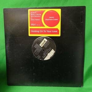 12' レコード Stephanie Cooke - Holding On To Your Love (The Remixes)