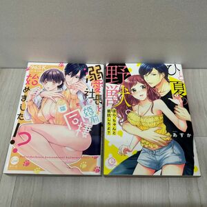 溺愛社長と婚前同棲始めました！？　９６ＳＫ／著　東万里央／原作 ひと夏の野獣。 あすか／著　TLコミック2冊セット