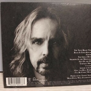 ☆TOMMY SHAW☆THE GREAT DIVIDE【必聴盤】トミー・ショウ スティックス ダム・ヤンキース 紙製ジャケット・ケース CDの画像2