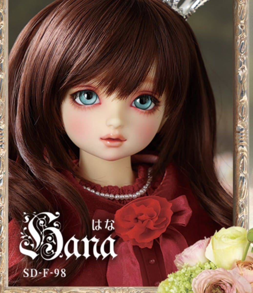2023年最新】ヤフオク! -ボークススーパードルフィーの中古品・新品