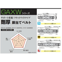 TAJIMA タジマ 安全帯胴当てベルト 剛厚 GAXW800 SEG対応 Lサイズ TJMデザイン 166500 。_画像2