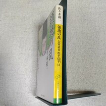 領地の乱 公家武者 松平信平12 (二見時代小説文庫) 佐々木 裕一 さやか 9784576151649_画像3