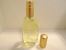 ★ SHISEIDO 資生堂 シャンデュクール オードパルファム ピュアミスト パヒュームコロン 50ml 香水 ★_画像2