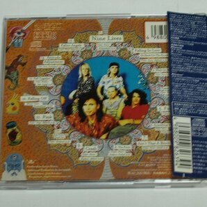 国内盤 エアロスミス / ナイン・ライヴス Aerosmith CD Nine Livesの画像3