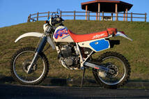 HONDA XR250R ME06 1993年式　北米仕様　公道仕様車　走行距離8000㎞_画像1