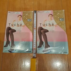 グンゼ トゥシェ Tucheベージュ2足