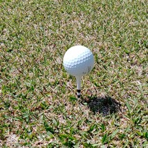 ゴルフティー50本ロングティー83mm白　竹製　バンブーティー　ウッドティー　新品未使用　golf Tee お徳　ゴルフ用品_画像4