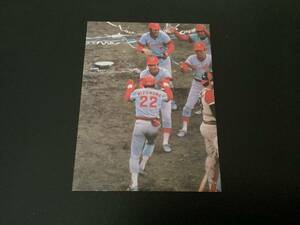 良品　カルビー79年　水沼（広島）日本シリーズ　プロ野球カード