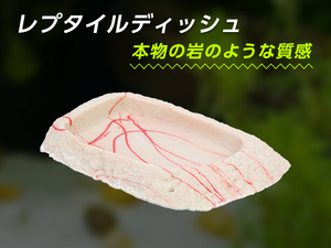 レプタイルディッシュ 爬虫類 両生類 餌皿 水皿 18*8.5*2cm 白赤 水入れ 給餌 フードディッシュ【2502:broad】