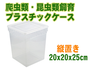  new goods reptiles . insects breeding plastic case exhibition case lengthway feed plate installation possibility clear [2456:broad]