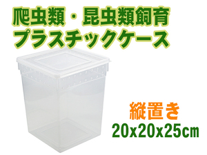 新品 爬虫類昆虫類飼育 プラスチックケース 展示ケース 縦置 エサ皿設置可能 クリア [2456:broad]