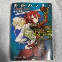 薔薇のマリア 13.罪と悪よ悲しみに沈め (角川スニーカー文庫)十文字 青 BUNBUN 訳あり ジャンク 9784044710217_画像1