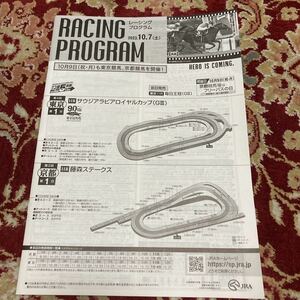 JRA Racing Program 2023.10.7( earth )sauji Arabia Royal cup (GⅢ), wistaria forest stay ks