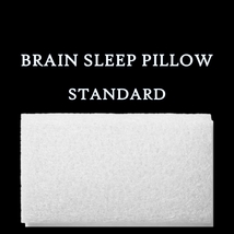 【使用頻度少】 BRAIN SLEEP PILLOW STANDARD ブレインスリープピロースタンダード ピローカバー付 リニューアル前モデル 定価33000円_画像1