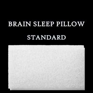 【使用頻度少】 BRAIN SLEEP PILLOW STANDARD ブレインスリープピロースタンダード ピローカバー付 リニューアル前モデル 定価33000円