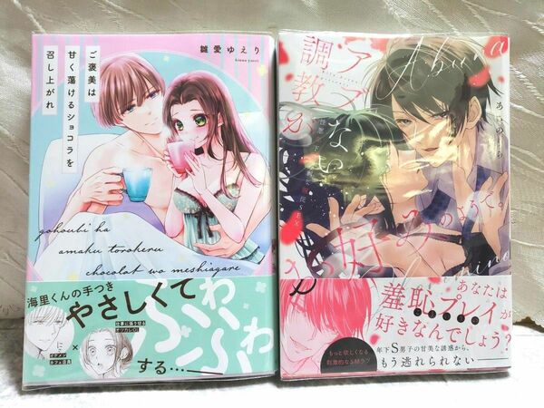 【ご褒美は甘く蕩けるショコラを召し上がれ】 雛愛ゆえり／著　【アブない調教がお好みのようで】あさのりら／著