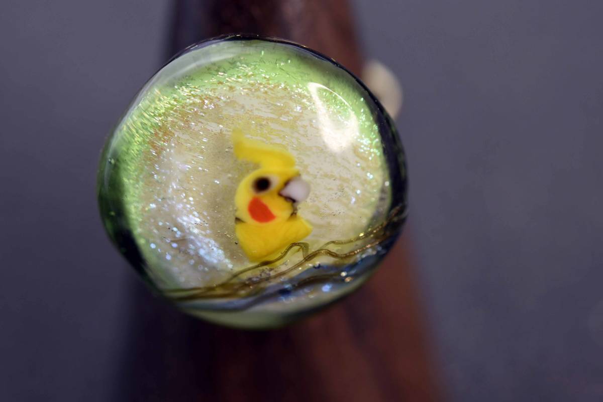 A one-of-a-kind glass ring created by a glass artist. Parakeet y1991-452 Glass Ring, Handmade, Women's Accessories, ring, others