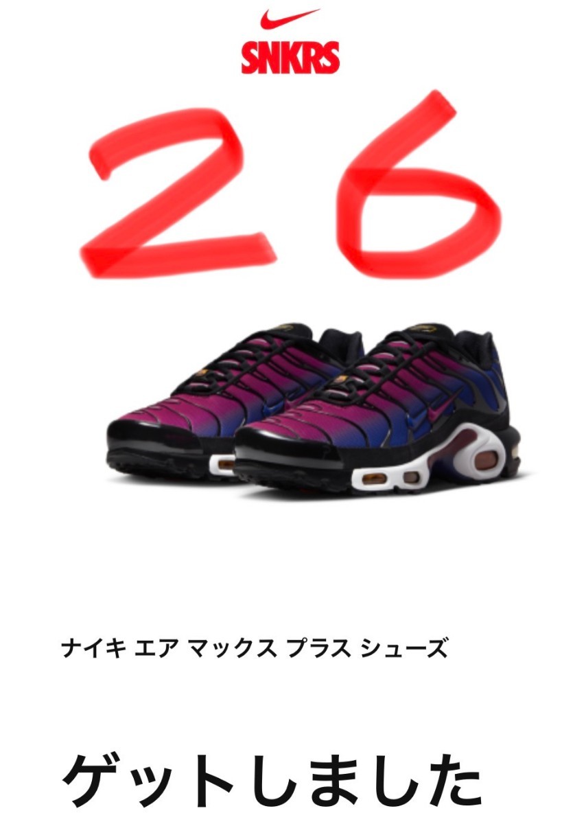 NIKE AIR MAX PLUS SE エア マックス プラス SE  5cm マルチカラー