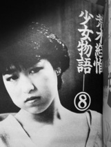 写真時代 荒木経惟 少女物語 佐々木教 石井隆 浜田蜂郎 倉田精二 オリジナル Daido MORIYAMA 仲治への旅 写真集 ポスター _画像3