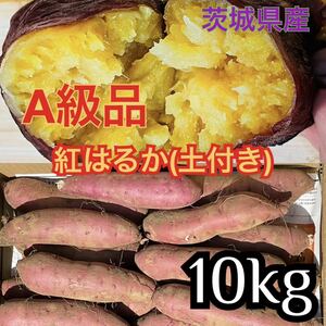 A級品！200〜450g前後位★紅はるか10kg（土付き）茨城県産