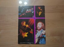 ★デイブ・メイソン DAVE MASON★日本公演1977★ツアーパンフレット★concert brochure★中古品_画像2