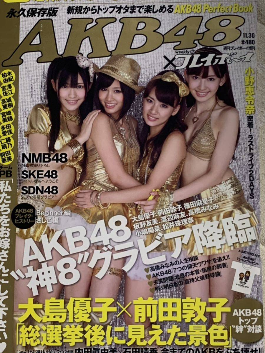 テレホンカード アイドル テレカ AKB48 週刊プレイボーイ A0152-0222-