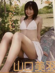 山口美羽　イメージDVD はっぱぃみうわぁるど