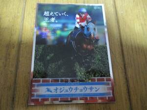 ヒーロー列伝コレクションシール グループC　ヒーロー列伝№82 オジュウチョウサン のみ