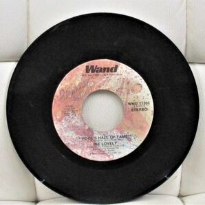 ◎ DEEP Soul 45 Ike Lovely / Fool's Hall Of Fame / Little Miss Sweet Thing [Wand WND 11266 ]の画像3