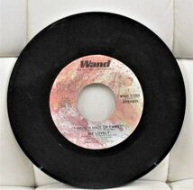 ◎ DEEP Soul 45 Ike Lovely / Fool's Hall Of Fame / Little Miss Sweet Thing [Wand WND 11266 ]_画像3