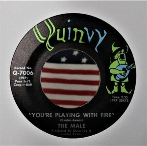 ▼ RARE Garage Rock 45 The Male You're Playing With Fire [ Quinvy Q-7006 ]'70