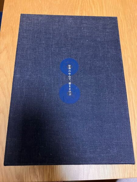世界の中心で、愛をさけぶ 完全予約制限定DVD BOX