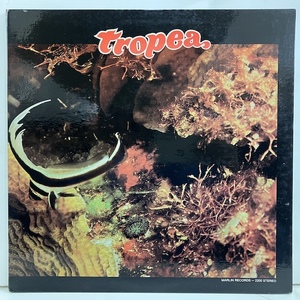 ■即決 FUSION John Tropea / Tropea MARLIN2200 jf32800 米オリジナル、Sterling刻印 ジョン・トロペイ